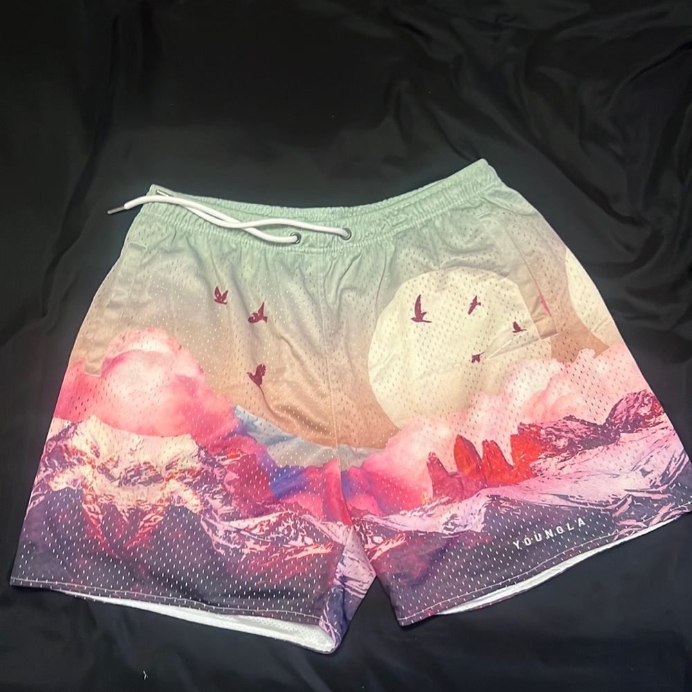 Young La shorts. Only worn a few times.